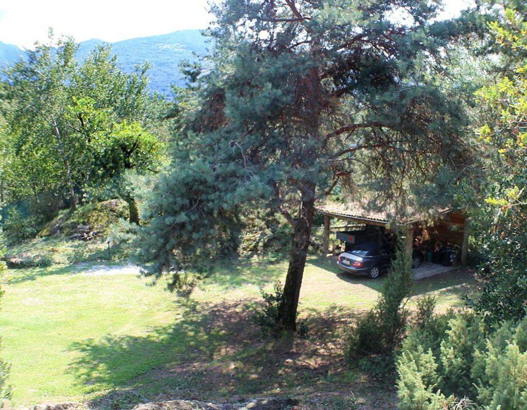 Villa Erica Con Piscina Privata Sul Lago Di Como Colico Luaran gambar